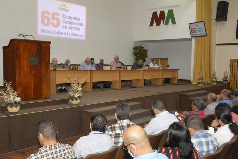 Foto: Cadenagramonte