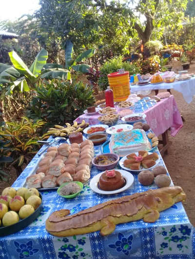 Fotos: Autora 