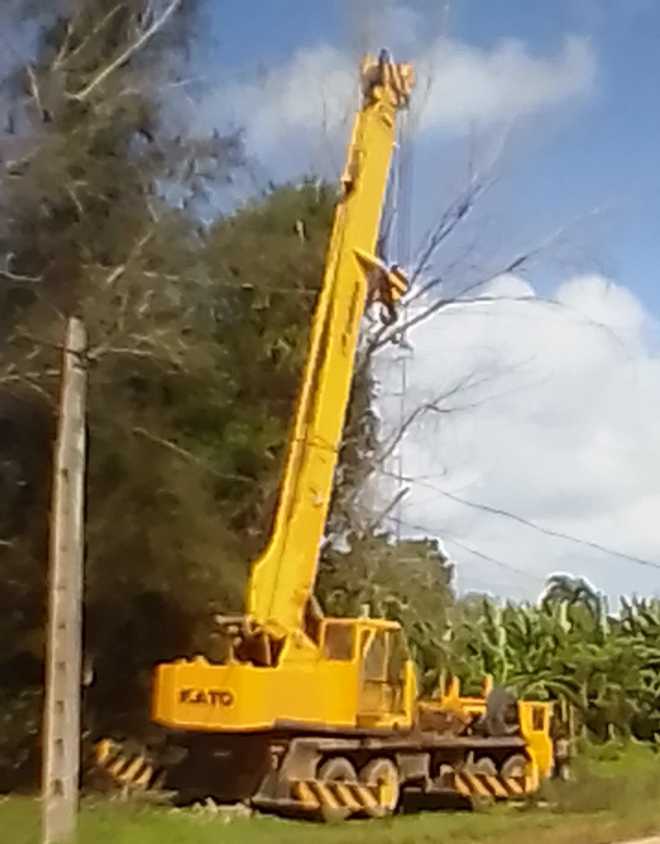 Grúa en apoyo a la poda de árboles.