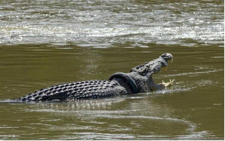 Photo: Cadenagramonte