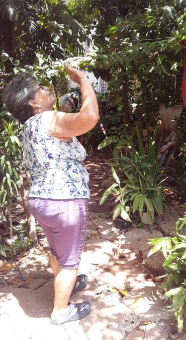 Foto: Georgina González Meléndrez