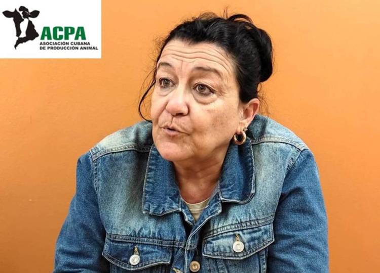 Organizaciones de Francia y Cuba impulsan proyectos de impacto social 