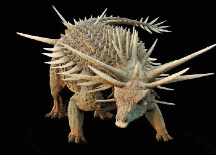Hallan restos de un insólito dinosaurio acorazado